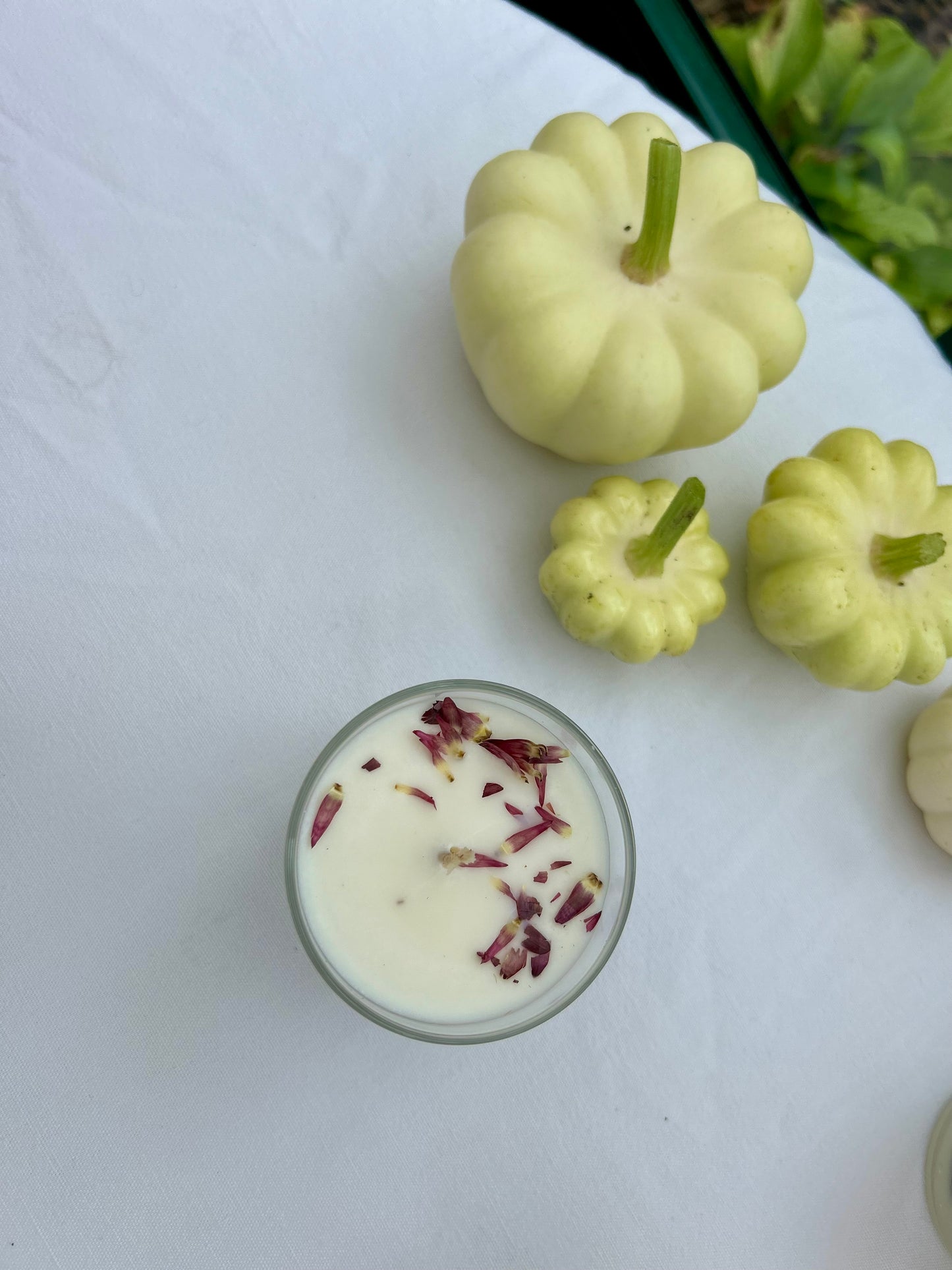 Bougie mûre myrtille 150g