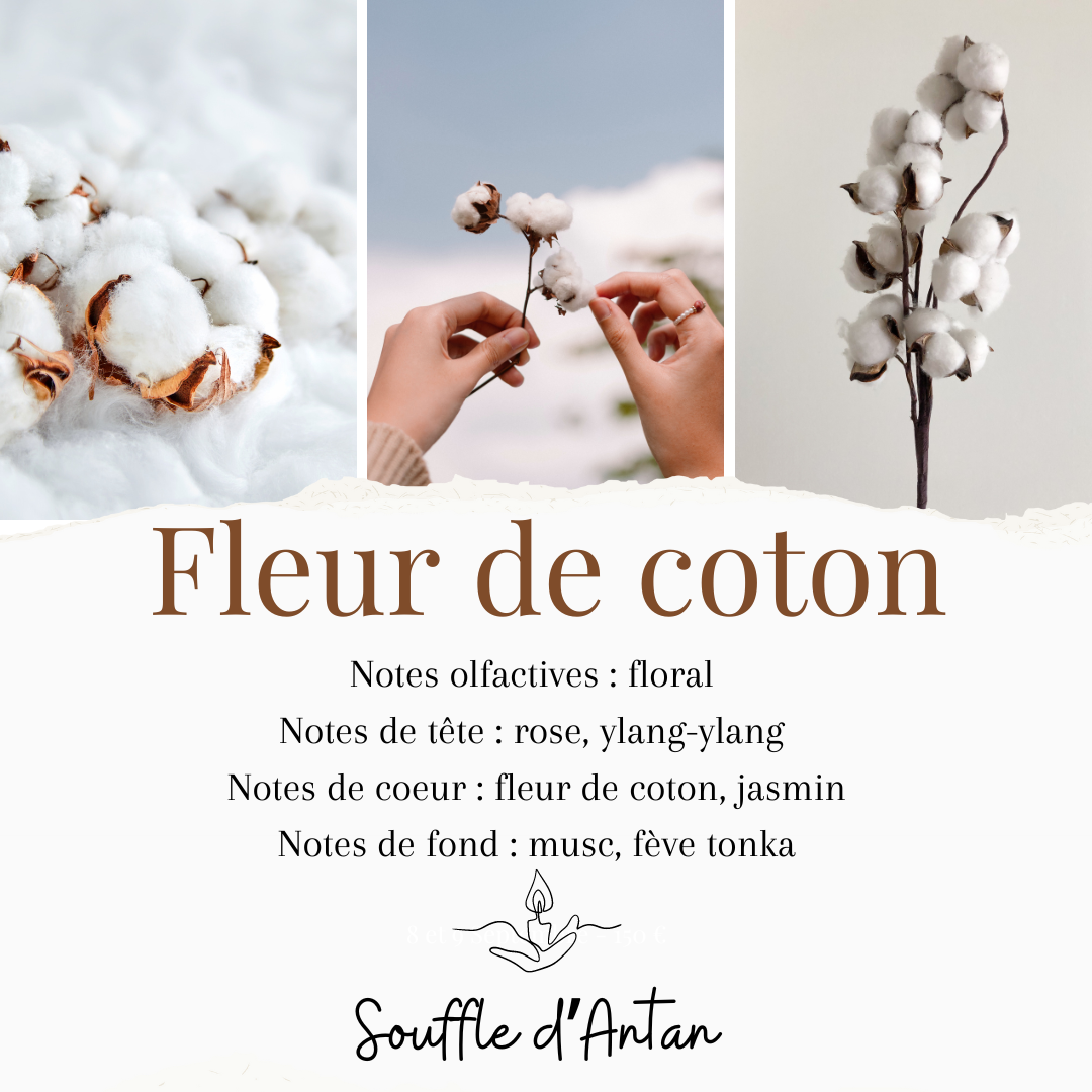 Bougie fleur de coton 150g