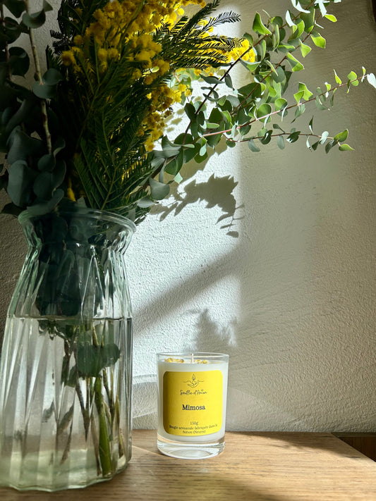 Bougie mimosa 150g