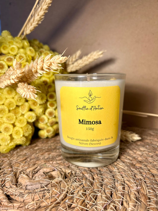 Bougie mimosa 150g