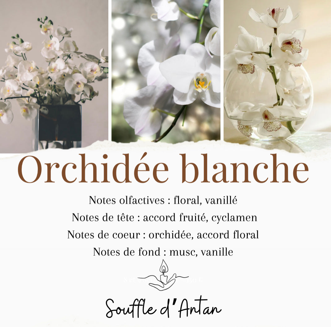 Bougie orchidée blanche 150g
