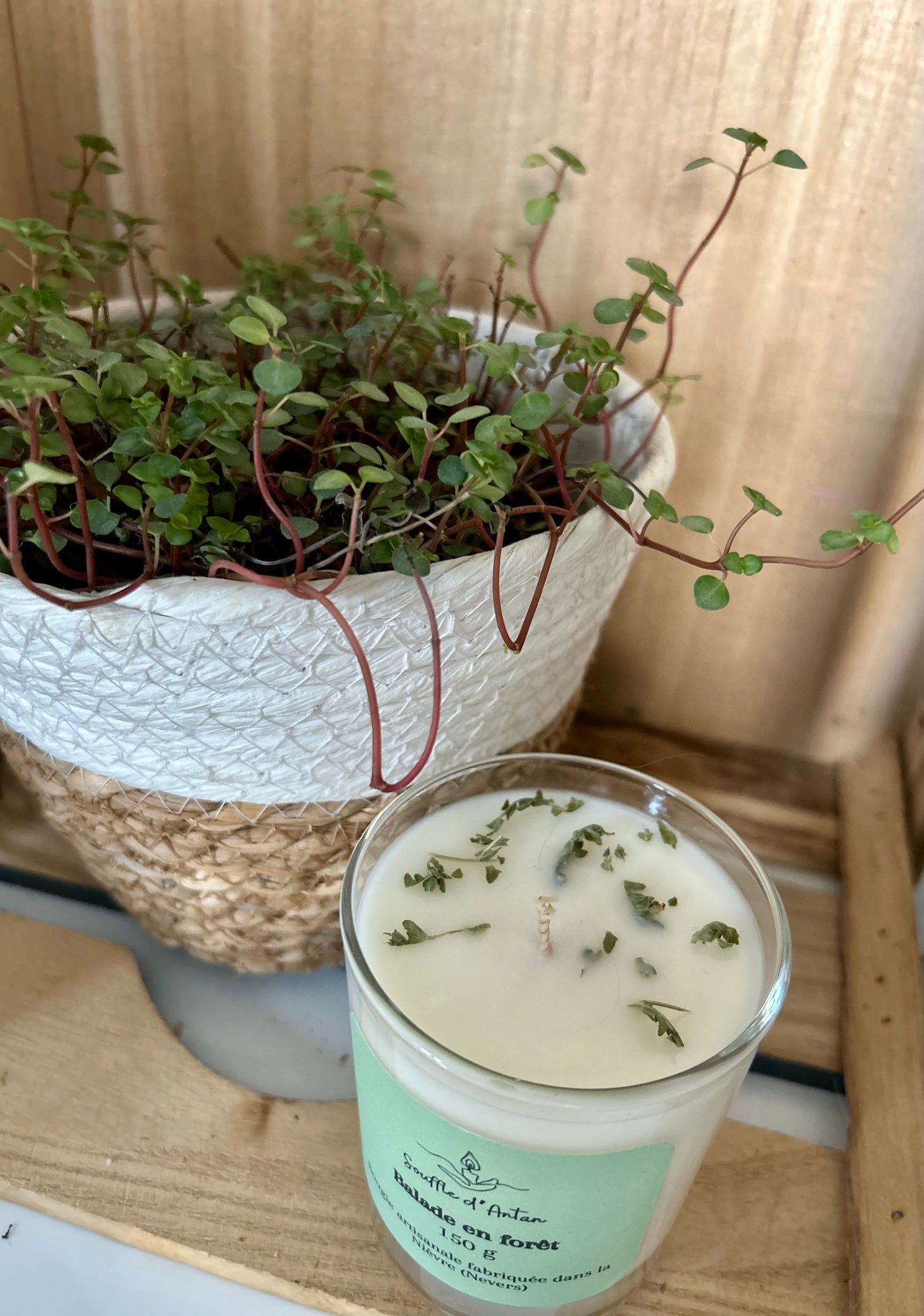 Bougie balade en forêt 150g